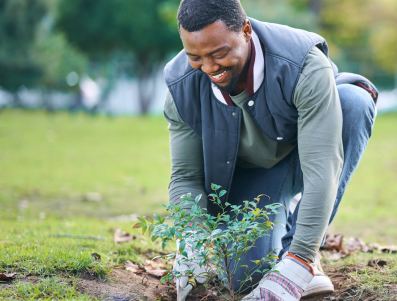 A grandfather and grandson planting a tree sapling together